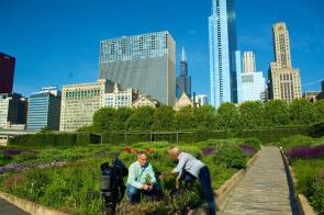 Two adults, a white man and white woman for GreenMark Media, kneel in a garden with the Chicago skyline behind them. A video camera is set up recording them.