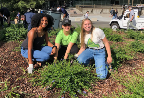 re.wild Your Campus Ambassadors creating regenerative spaces on their campus.