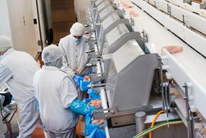 End Child Labor in Meatpacking