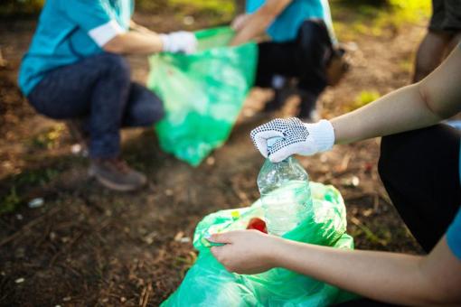 How To Help The Environment 31 Simple Ways You Can Make A Difference   GettyImages 1032034552 