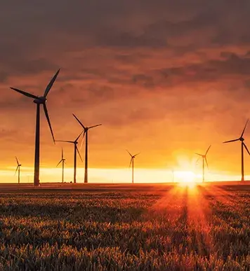 Image: wind farm at sunset. Topic: Green America's Work on Climate Change