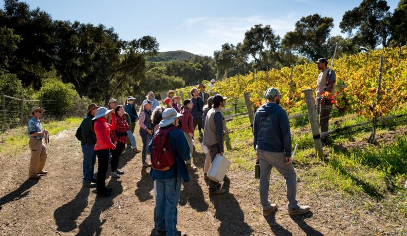 Jesse Smith stands on the edge of a vineyard speaking to about 20 people. He is hosting a workshop on nutrient cycling.