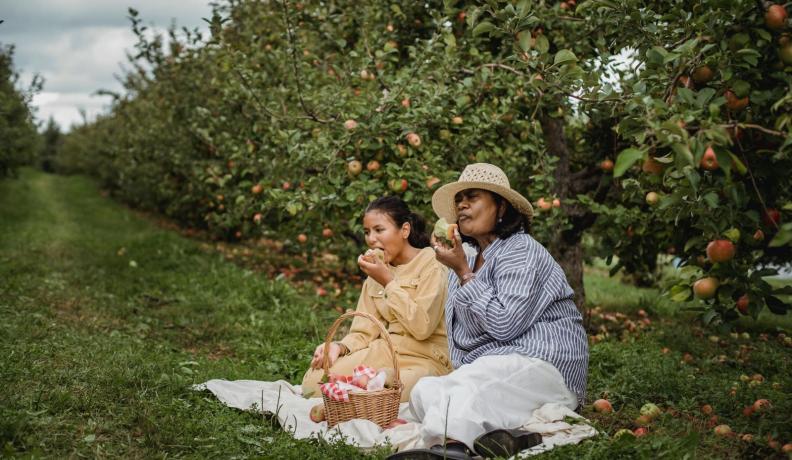 An Indian American mother and daughter sitting on a picnic blanket in an apple orchard. They are savoring bites of the apples that they picked together.