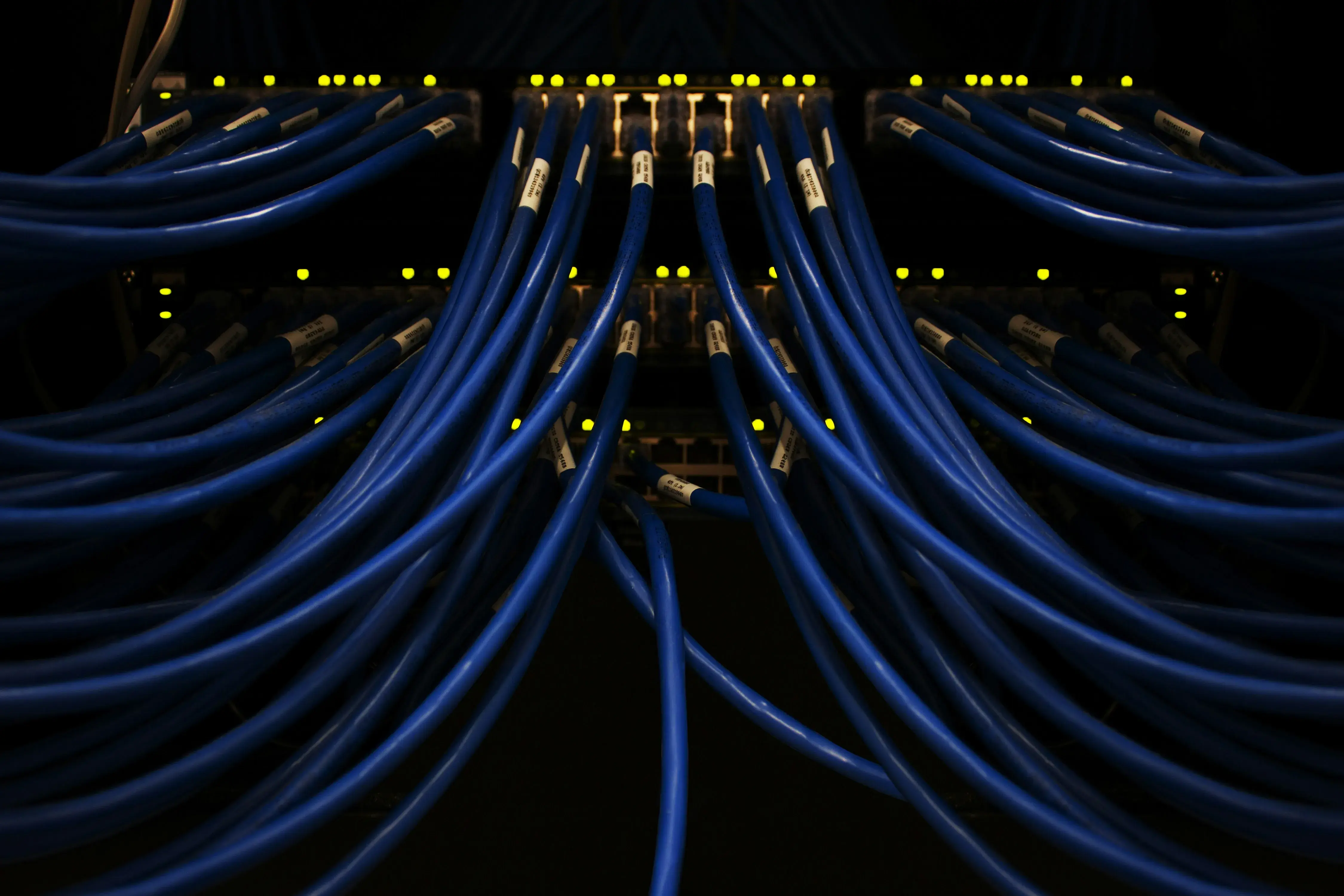 bundle of blue wires connecting a centralized port system for a high powered computer.