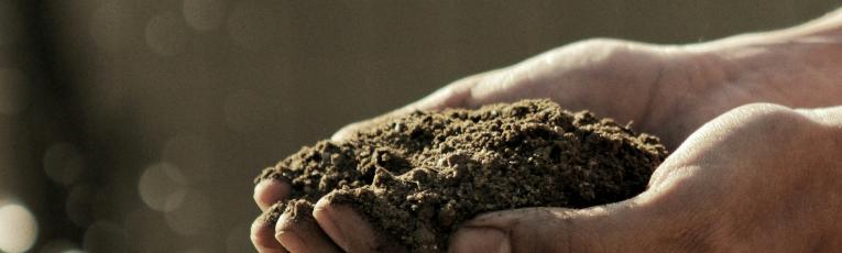 Hands holding soil.