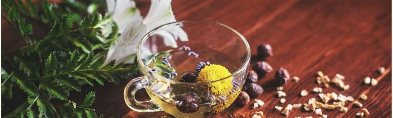 a glass cup of tea with flowers and herbs in it. It is surrounded by a display of seeds, flower buds, leaves, and nuts, on a wooden tabletop.