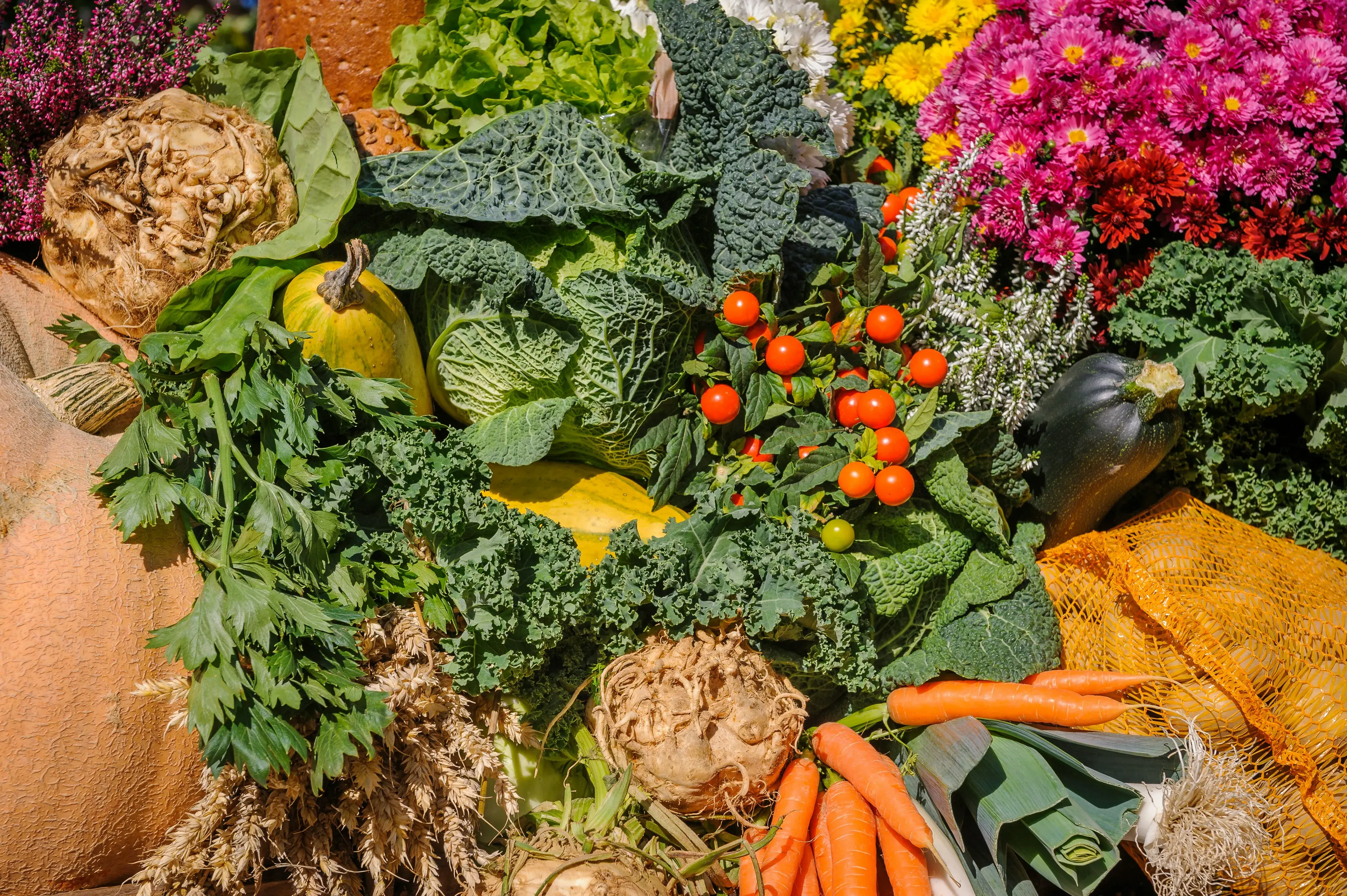 colorful vegetable harvest spread in the sunlight.