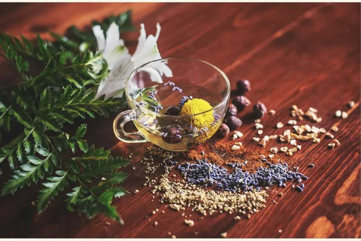 a glass cup of tea with flowers and herbs in it. It is surrounded by a display of seeds, flower buds, leaves, and nuts, on a wooden tabletop.