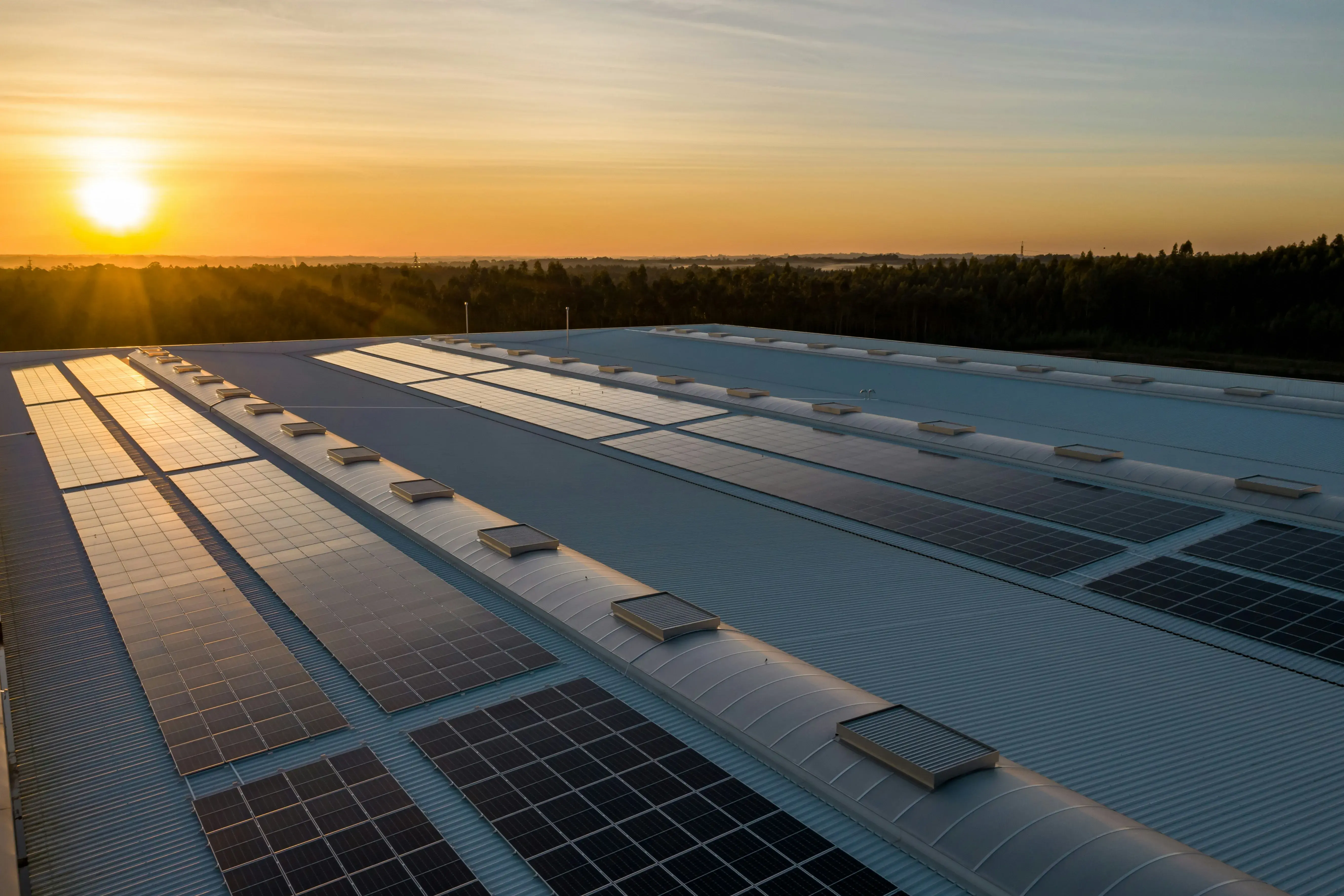 solar panels in the sunset
