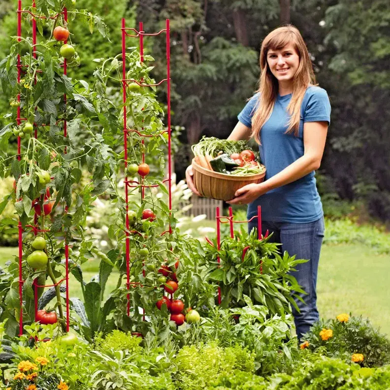 Climate Victory Gardens 