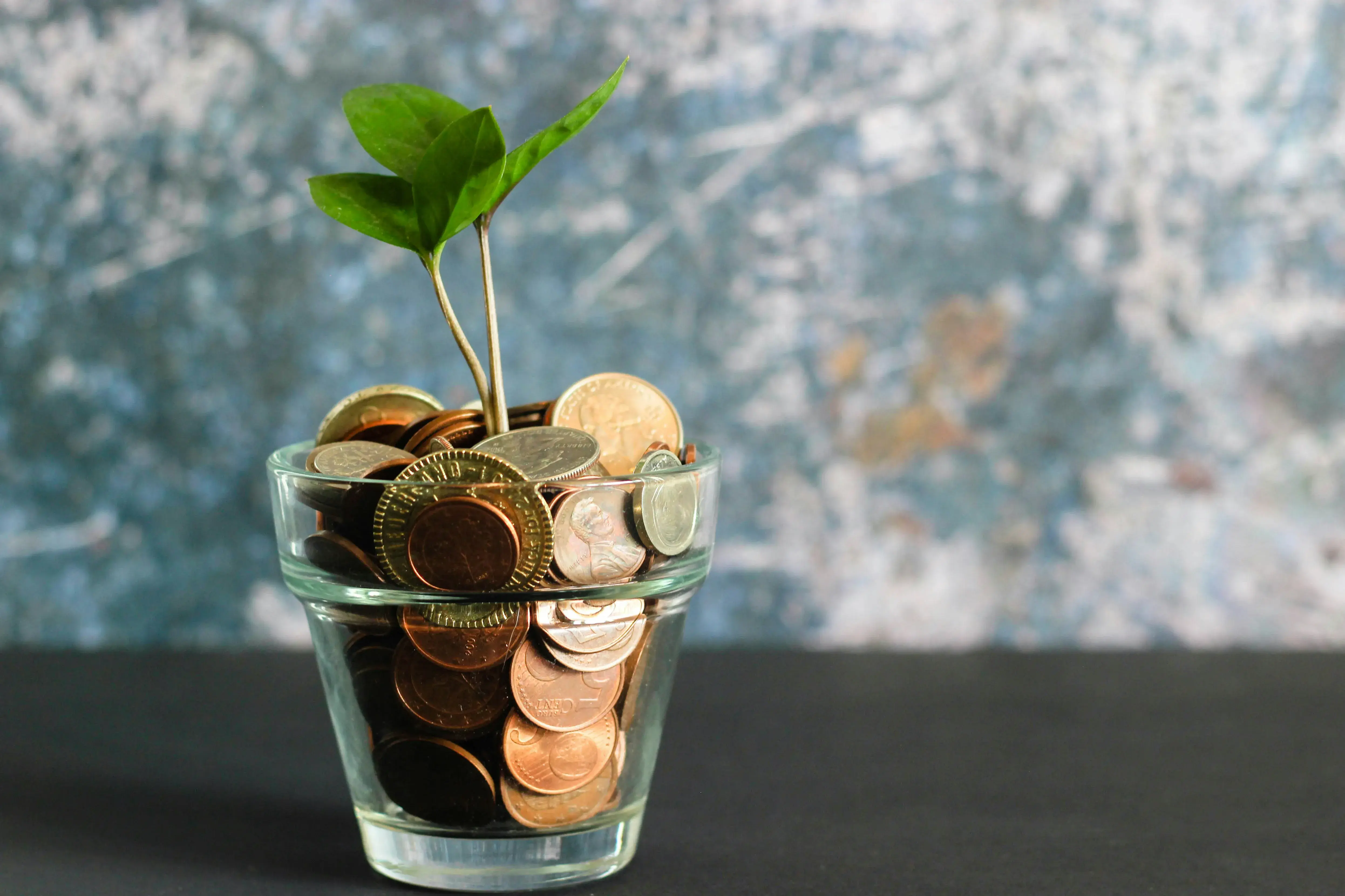 A small plant gorwing out of a cup of coins.