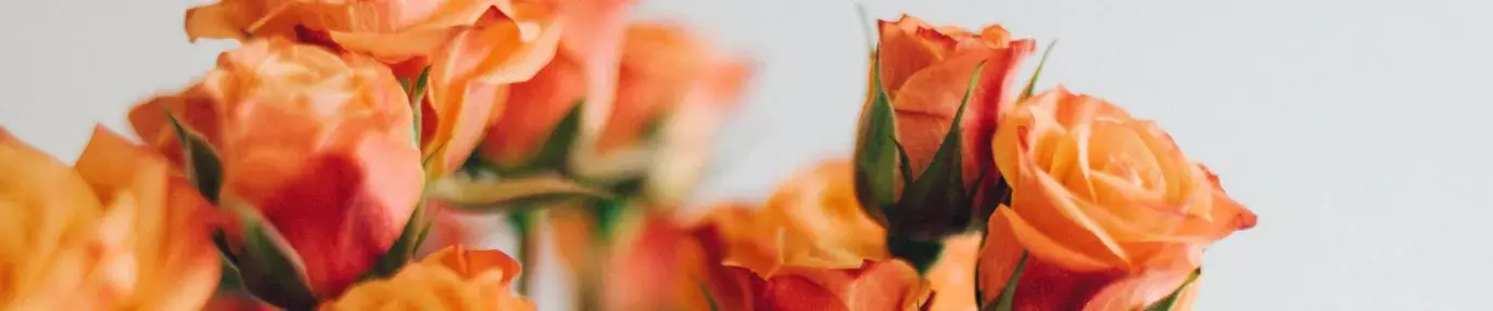 an example of flower bouquets, beautiful orange roses against a white background