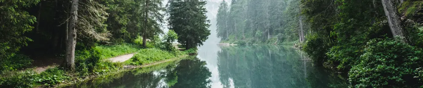 a photo of a wide river running through a green, coniferous forest and mountains in the far distance