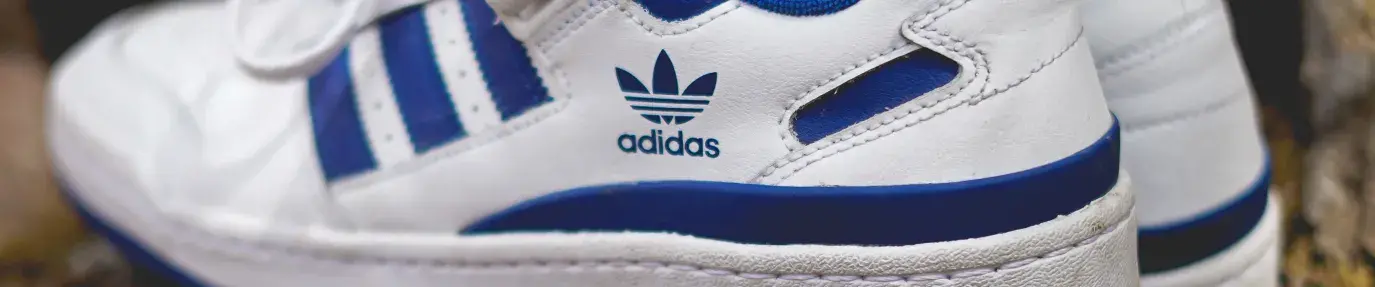 A pair of blue and white Adidas shoes on rocks and pine needles outside; the company has committed to 100% sustainable cotton.