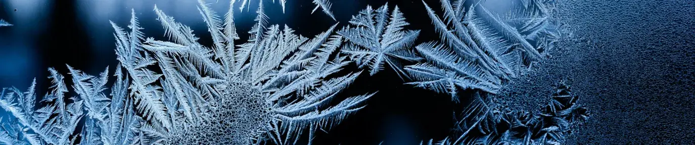 Greenwashing Again: Coolants Drive Climate Change and Forever Chemicals 