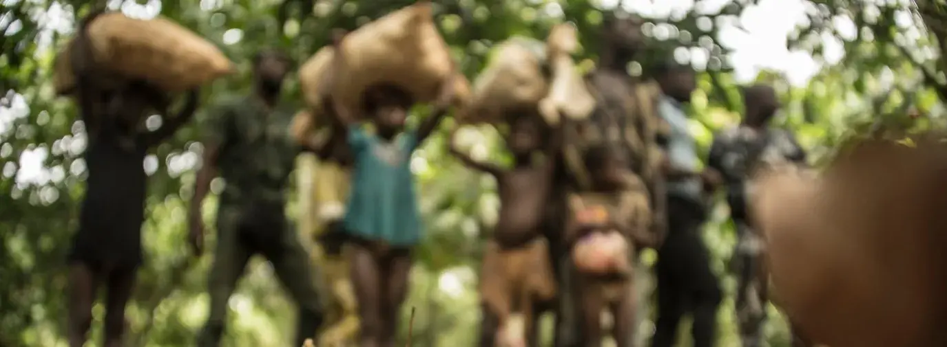 children in cocoa field