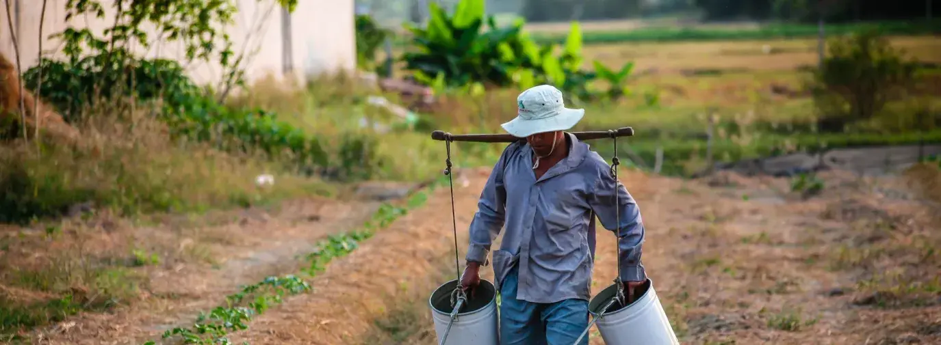 Man Watering Plants