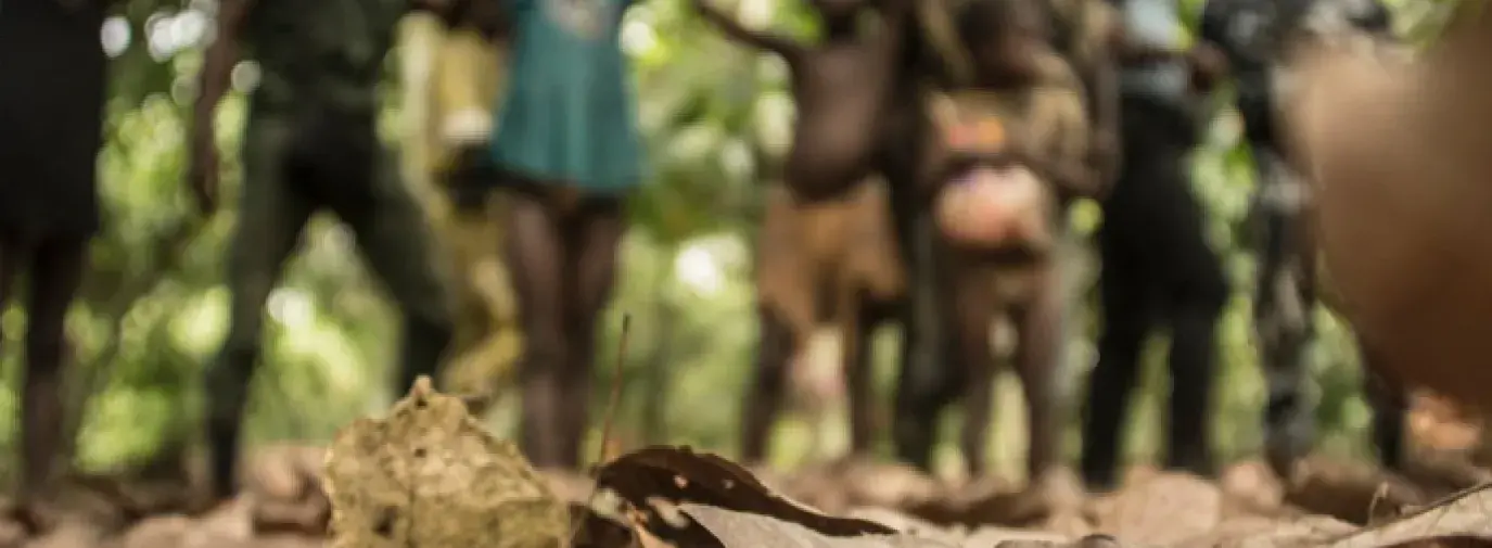 Image: child laborers in cocoa field. Topic: Tell Godiva: End Child Labor