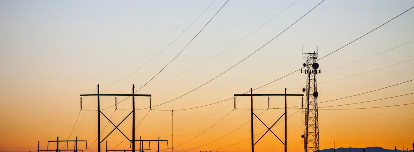 Image: telephone wires stretching across the horizon. Title: Energy Efficiency: The Magic Bullet