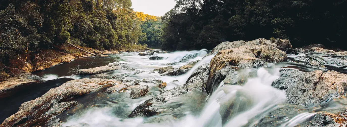 river by Sergio Souza