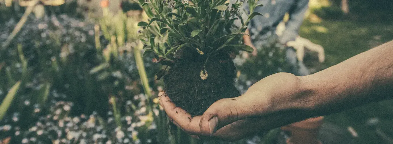 Image: people gardening. Title: Worm Composting: All-Natural Recycling