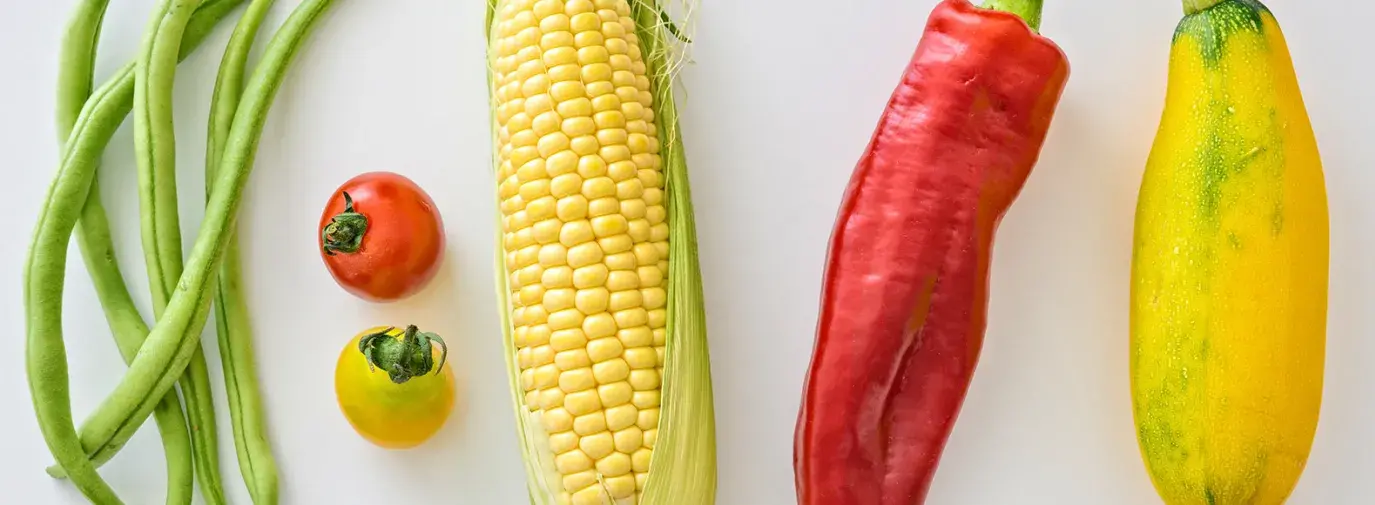 Image: beans, tomatoes, corn, peppers, and squash. Title: How To Eat Organic Food on a Budget