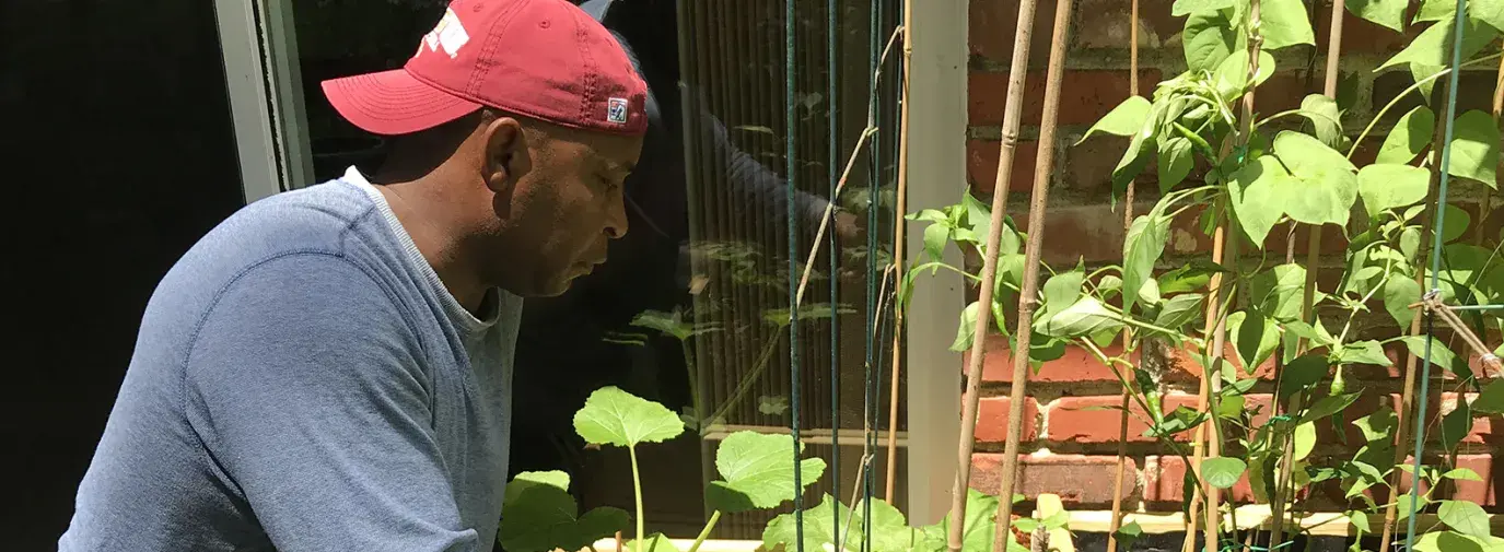 Image: Monique's father in his garden. Title: Finding Hope for Climate in My Parents' Garden