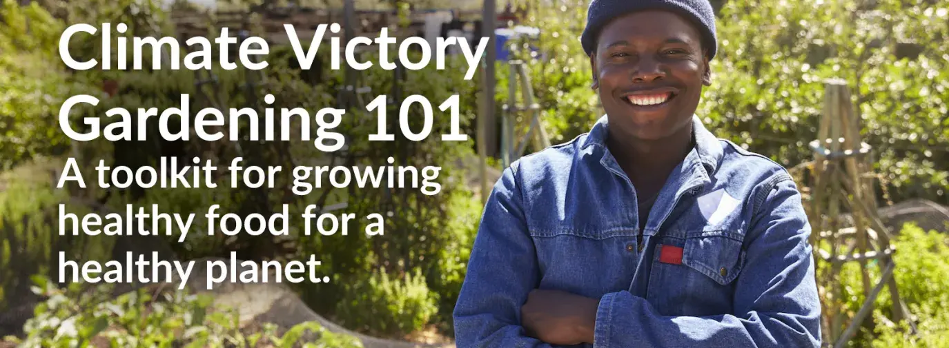Image: man standing proudly in garden. Text: Climate Victory Gardening 101, A toolkit for growing healthy food for a healthy planet.