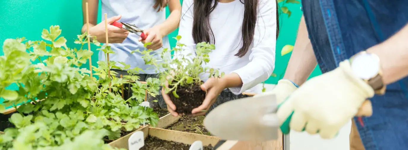 Image: man and two children gardening. Title: Finding Garden Supplies During Lockdown