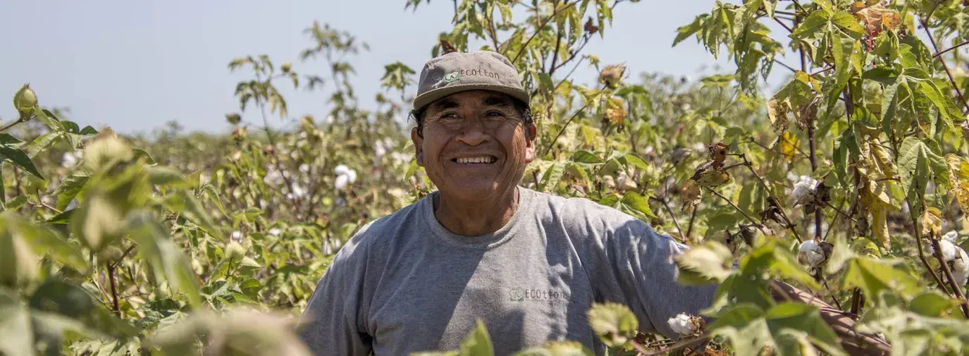 Latinx organic cotton farmer in Peru with his hands on his hips, smiling. He is wearing a gray hat that says eco-cotton and is surrounded by green leaves.