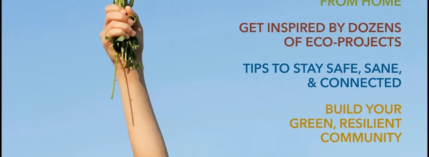 cover of Your Green Life 2021