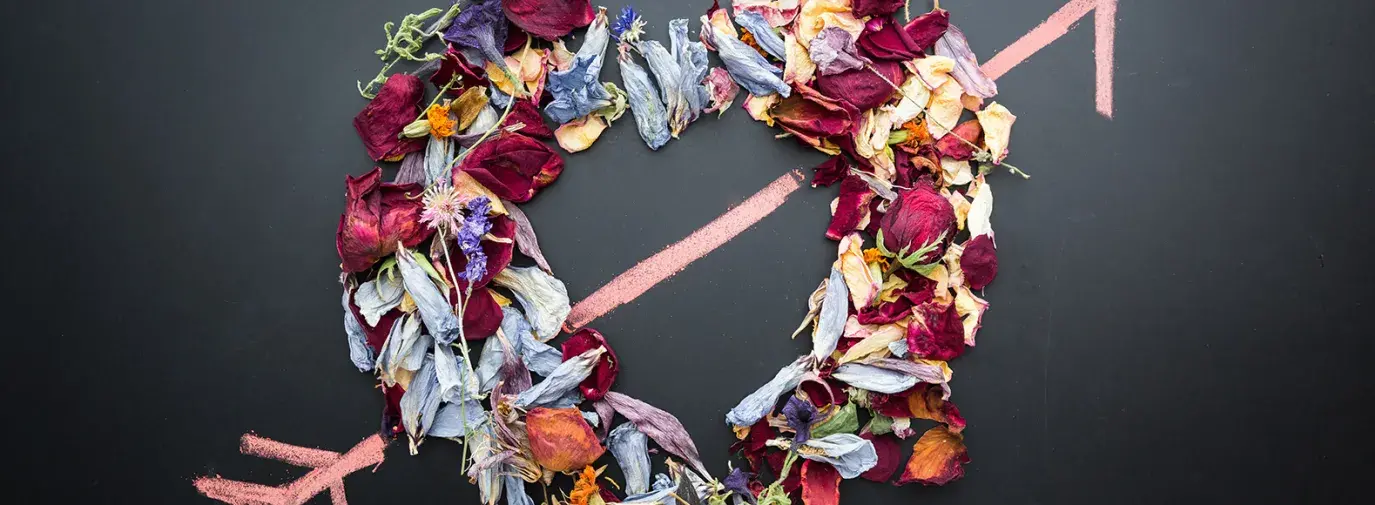heart made of dried flowers