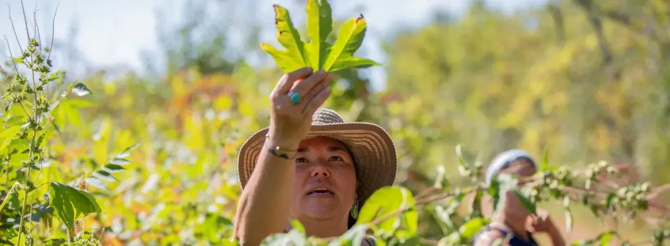 Linda Black Elk teaching a foraging class in September 2019.  Photo by Jaida Grey Eagle. 