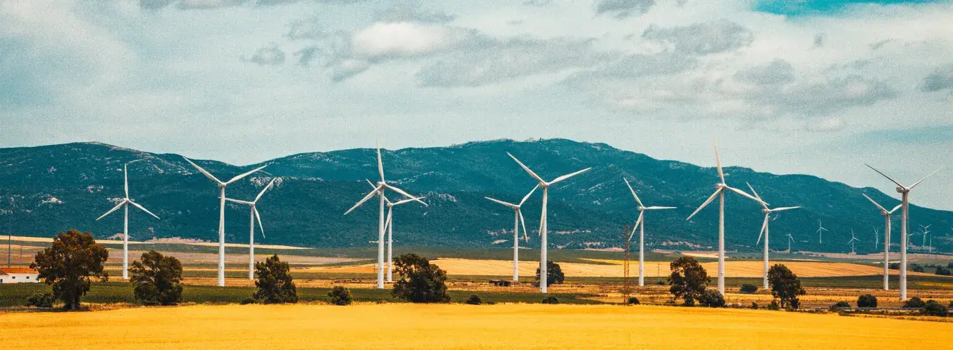 Image: wind turbines in golden field. Title: Clean Energy Victory Bonds Legislation Gets Strong Support from Green America, American Sustainable Business Council, National Wildlife Federation