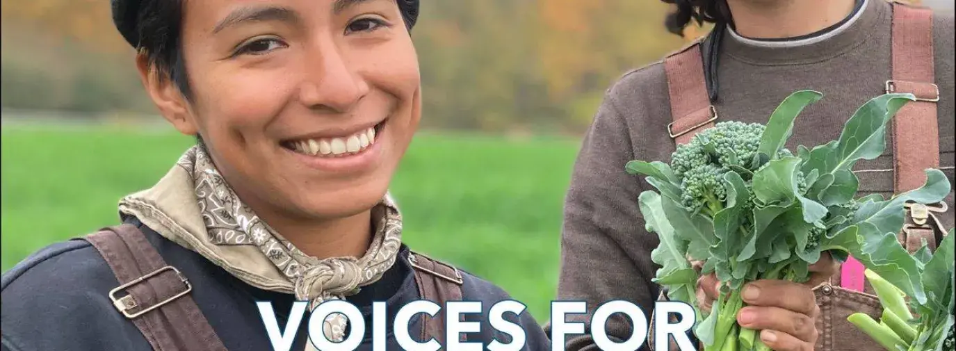 Green American Magazine voices for inclusion and justice cover