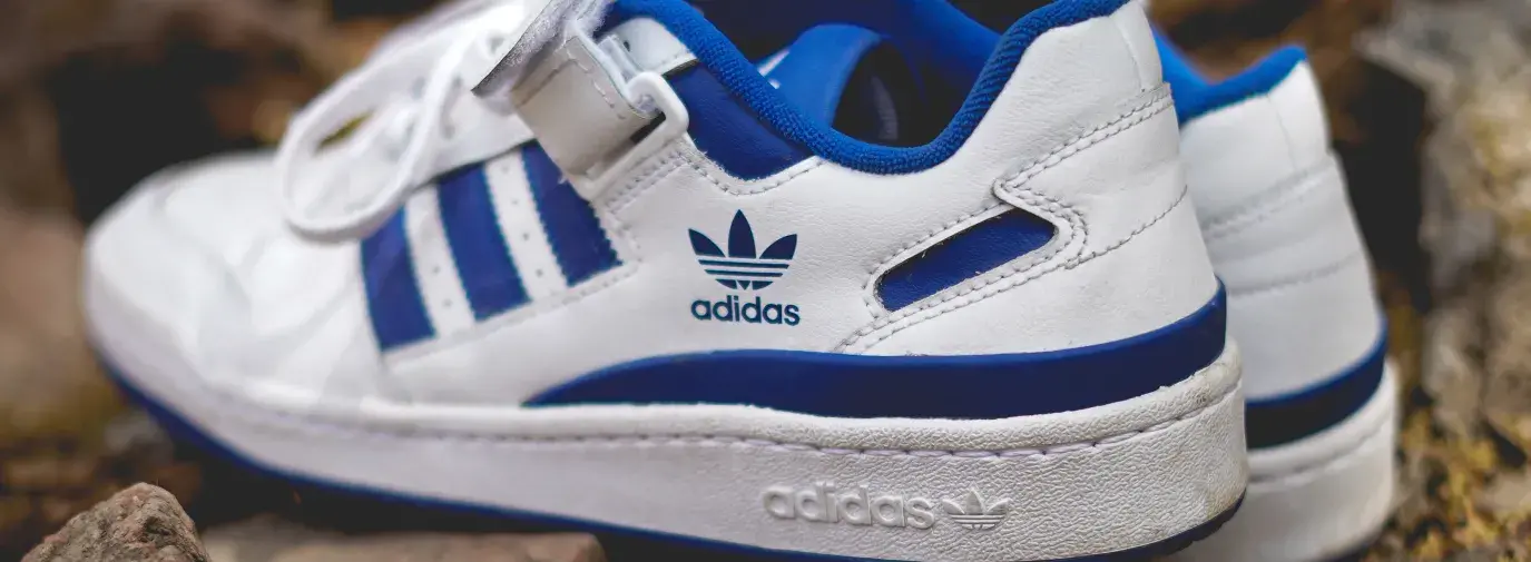 A pair of blue and white Adidas shoes on rocks and pine needles outside; the company has committed to 100% sustainable cotton.
