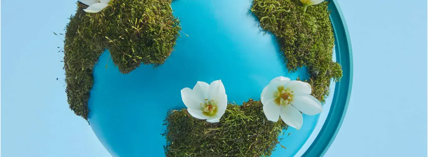 Green Across Cultures magazine cover