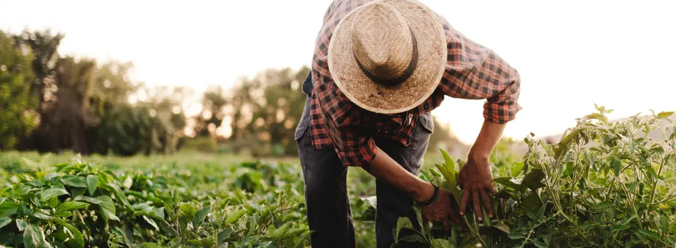 Whole Foods approves Soil & Climate Initiative certification, expanding regenerative options for farmers and suppliers.