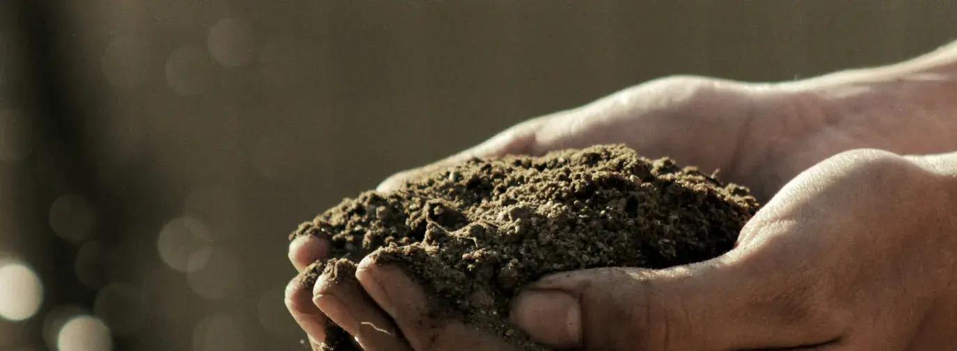 Hands holding soil.