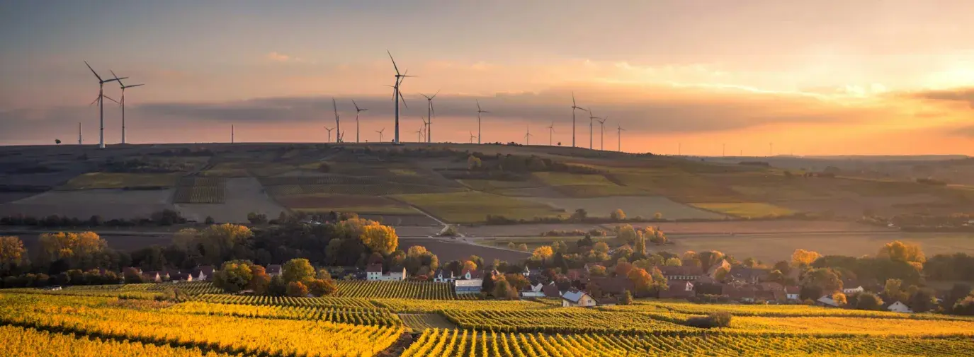 Dozens of Major Food Companies, Farmers, and Groups Send Official Guidance to USDA for New $700 Million Regenerative Pilot Program