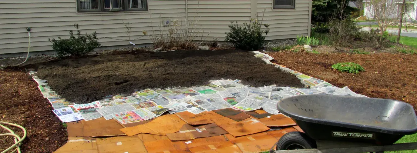 lawn being transformed into a climate victory garden with layers of cardboard and newspaper