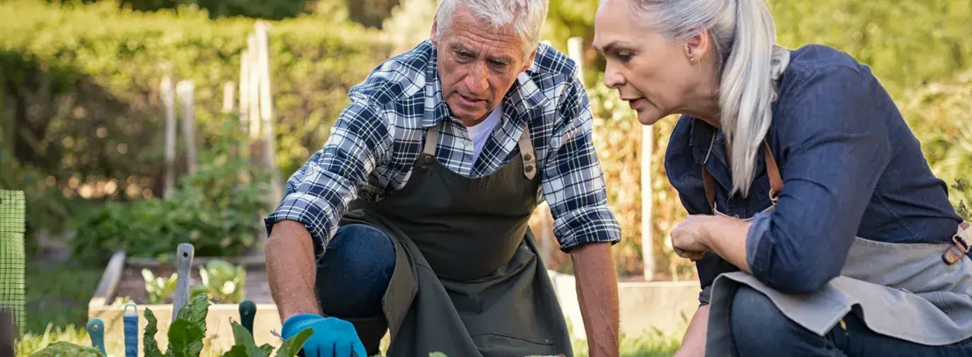 man helping woman in garden, find local help for your climate victory garden