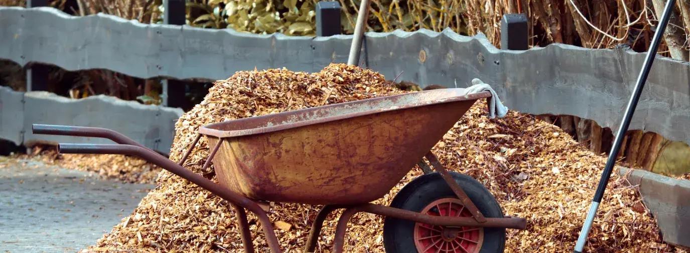 mulch in climate victory garden