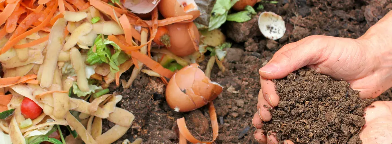 food scraps and hands holding compost, organic fertilizers for your climate victory garden