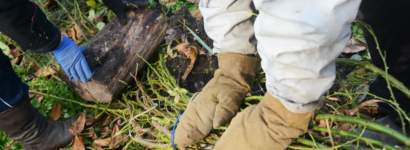 Image: mittened hands working a garden. Topic: 10 ways to prepare your garden for winter