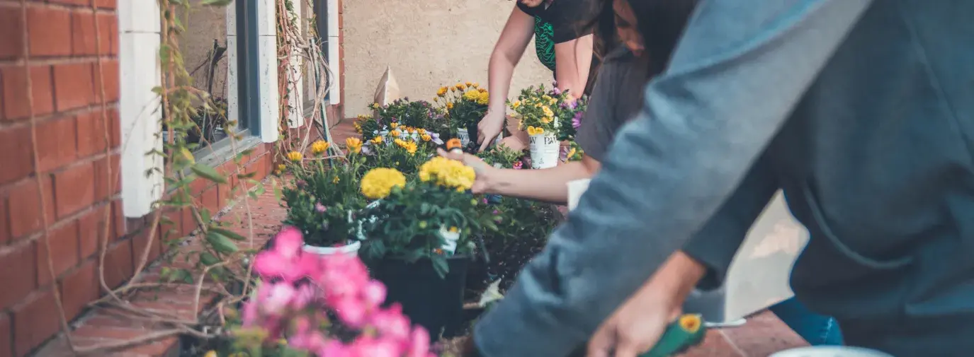 family planting garden. choose a location for your climate victory garden.