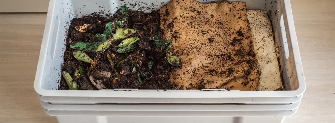 indoor composting bin showing food scraps and soil