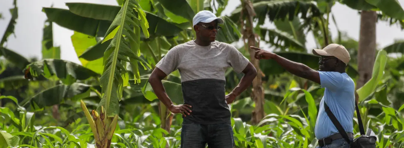 Kofi Boa on his farm 