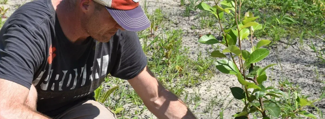 Memorial Day Tree Planting