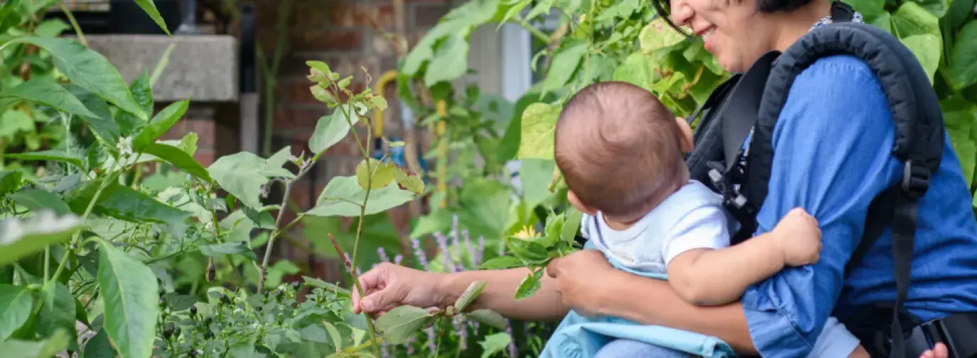 NIcky Schauder weeding with her child.
